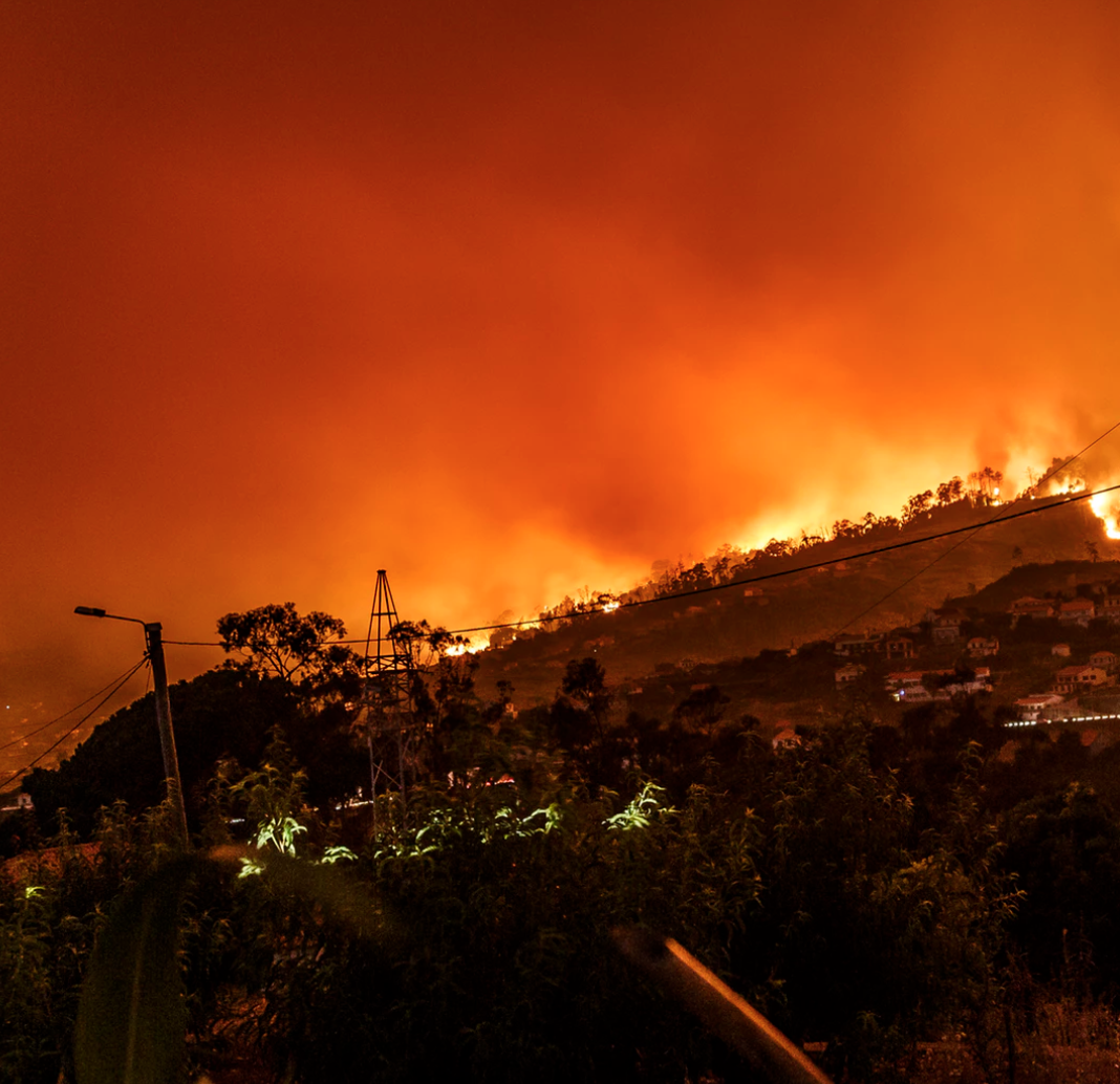 What To Know Before Building A Home In Bushfire Prone Areas